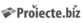 Proiecte imobiliare